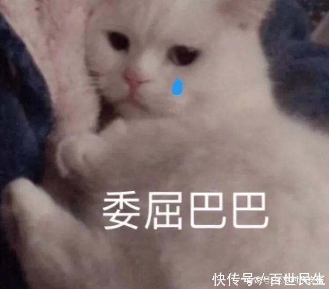 发型真的太重要了!掌握4个技巧,普通女孩也能提升颜值