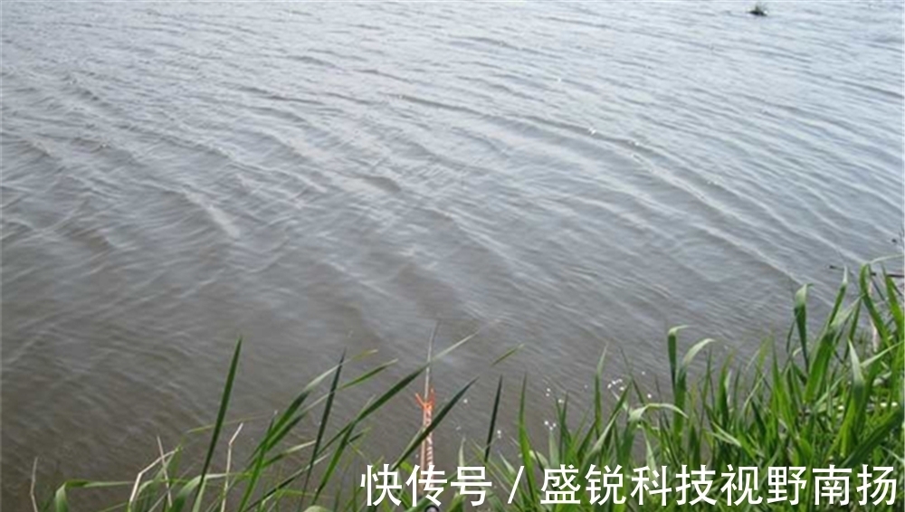 夏天|夏天刮风天气鱼好钓，钓下风还是钓上风？是看风力大小吗？