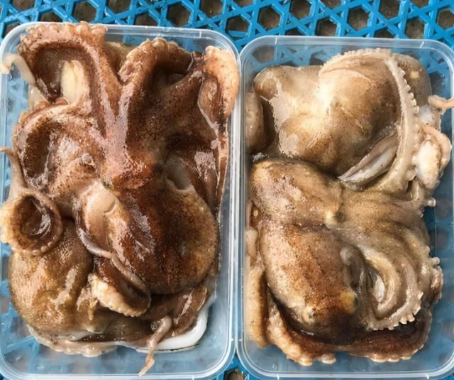 海鲜|含“寄生虫”最多的3种海鲜,没营养还贵,老板自己都不敢吃