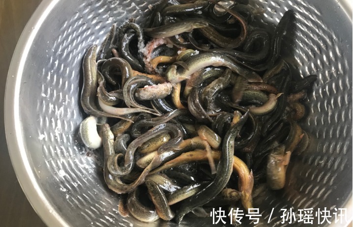 泥鳅|眼下最好吃的鱼，14块钱一斤，物美价廉，肉多味美，老少皆宜