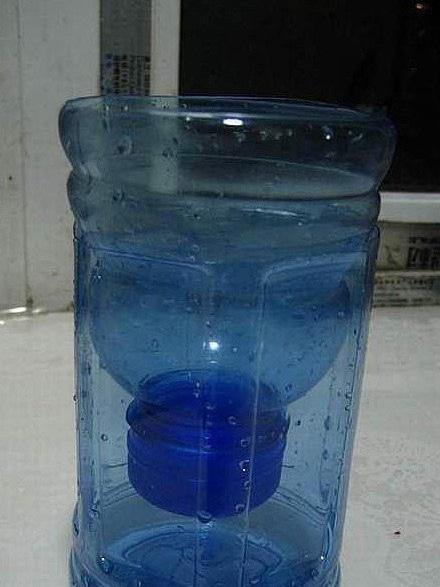 养花懒,出远门,没人浇水怎么办,妙招学起来