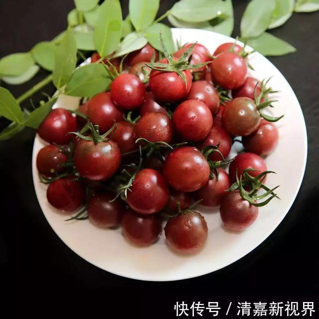 养花|3种“水果”蔬菜，阳台就能种，青脆爽口，老人小孩都爱吃！