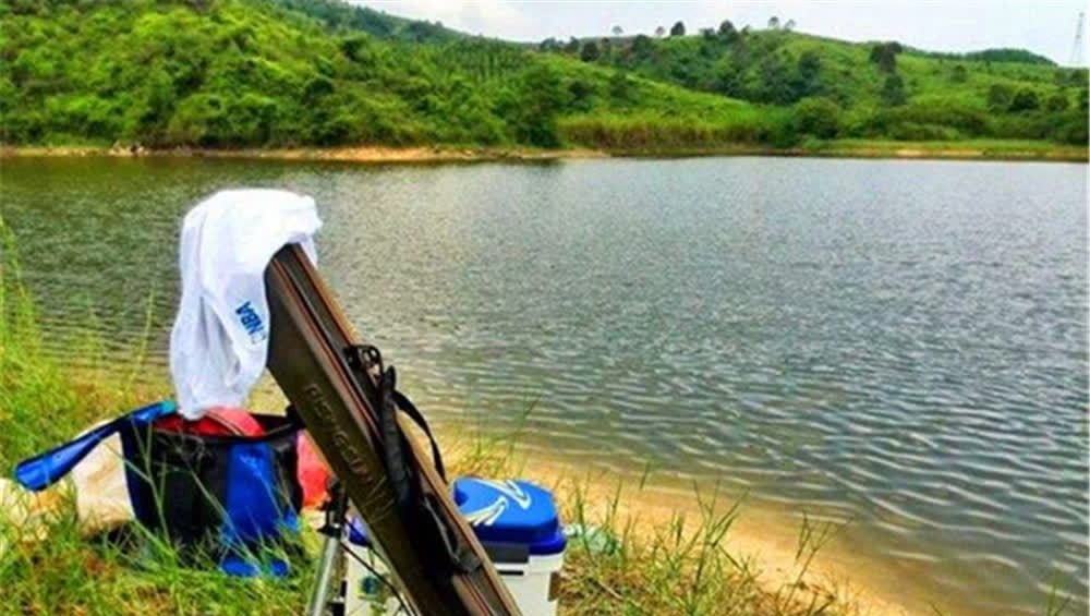 为何久坐无口，钓不上来鱼？未必是技术问题，原因更可能是这些！