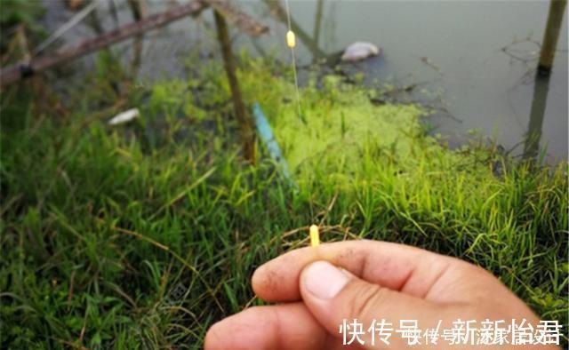 七星漂钓组灵敏度高,如何调漂能让灵敏度更高?可以试试这种方法