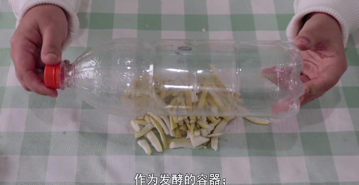 效果|吃剩的柚子皮不要扔,泡一泡用来浇花,效果超好