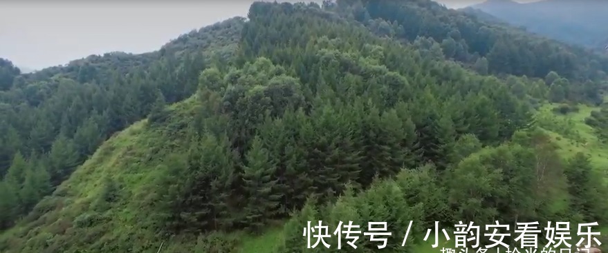 小草原|一条即将火的旅游自驾线路老虎头森林公园，高山草甸加72拐