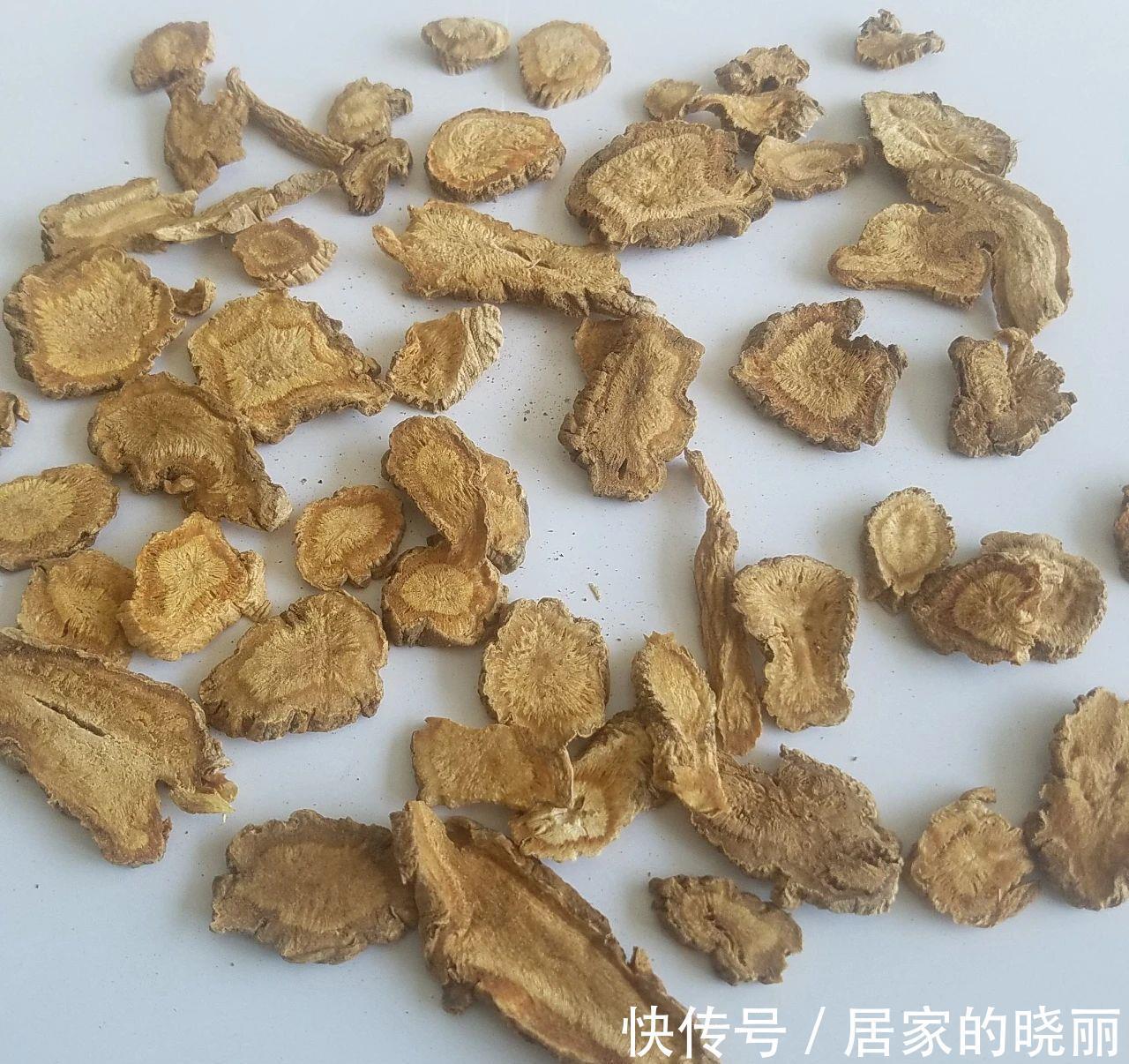 破伤风症|这种北方植物的根能治破伤风症,是“治风之通用药”,你认识吗