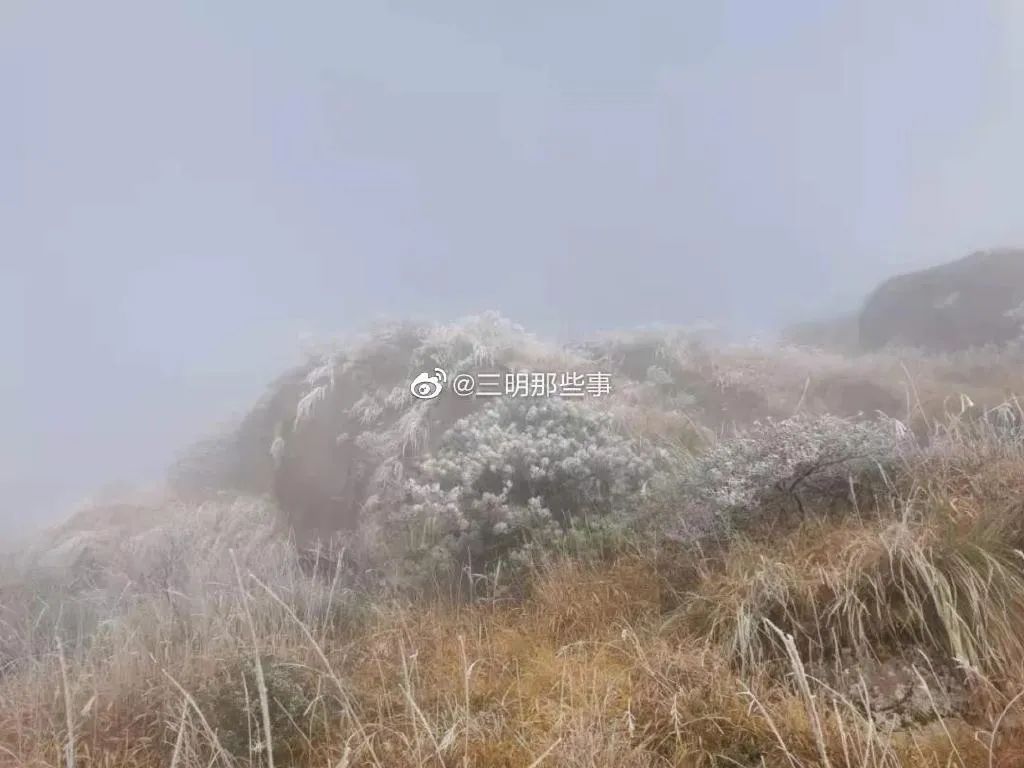 西伯利亚|5.2℃“速冻”！厦门人先别哭！3波冷空气正排队发货