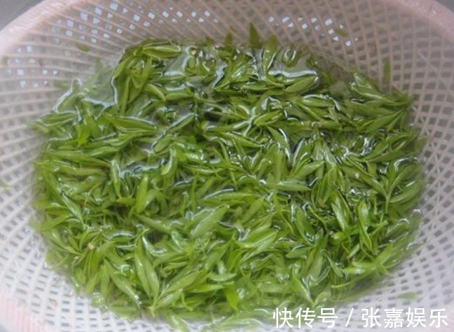 解毒消肿|吃柳叶、品春天!春季柳叶医食2用功效高,解毒消肿保健康