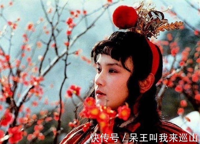 大荒&红楼梦:贾宝玉并没有出家当和尚,而是死了,并且死的很难看