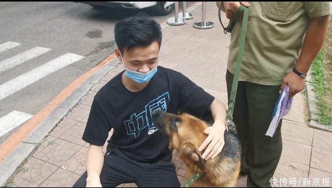 德牧|54只淘汰警犬半天内卖光，最高拍卖价33万元，买犬者不得弃养