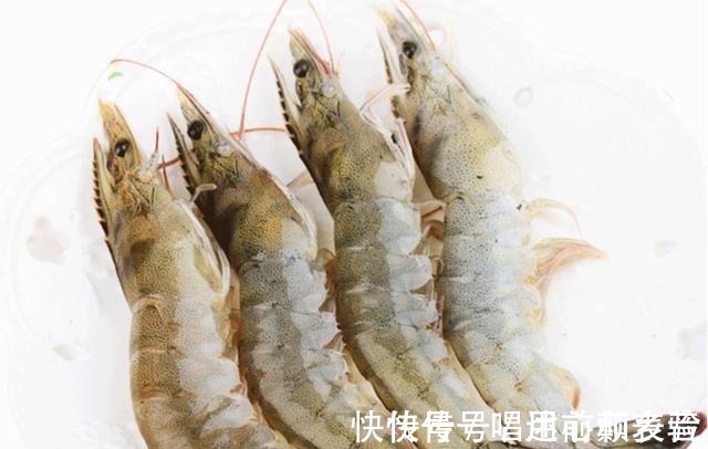 伴侣|一款比蚯蚓和红虫还好用的饵料,最适合水温低时用,爆护就靠它了!