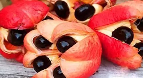  草莓|世界上最贵的水果，吃过3种以上的都是土豪啊