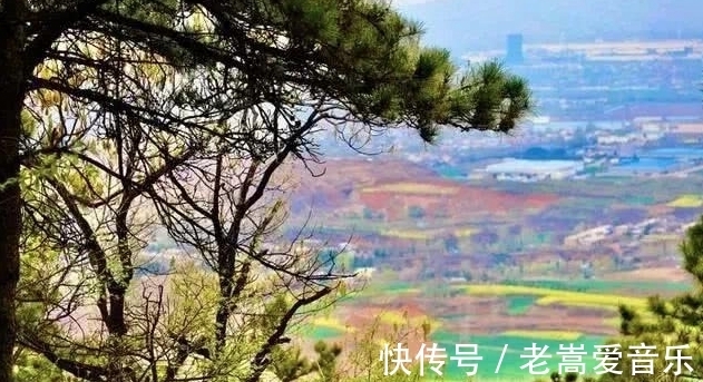 旅游|河南郁山国家森林公园智慧导览助力旅游景区线上线下一体化建设