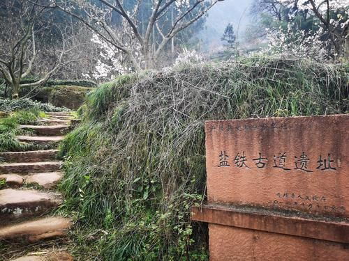 老年|来四川眉山，游幸福古村