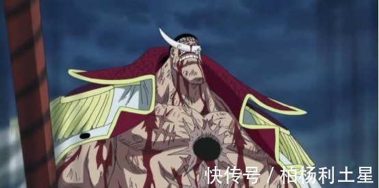 卡普|海贼王实力排名前五的强者,其中一位争议极大,还被无数漫迷憎恨