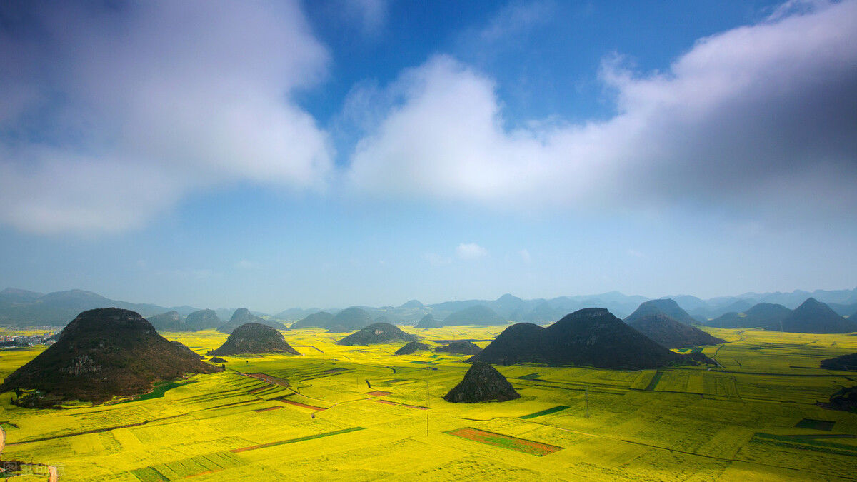 明年从三月到十月油菜花海经典6处任你选