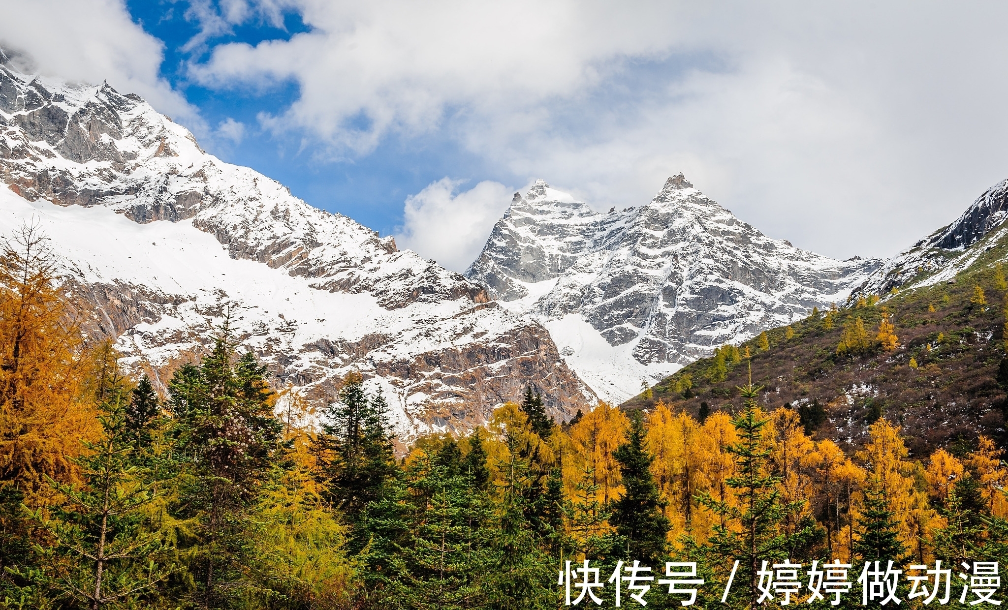 大熊猫|一文搞清楚四川超过二十个顶级红叶景区，没有九寨黄龙什么事