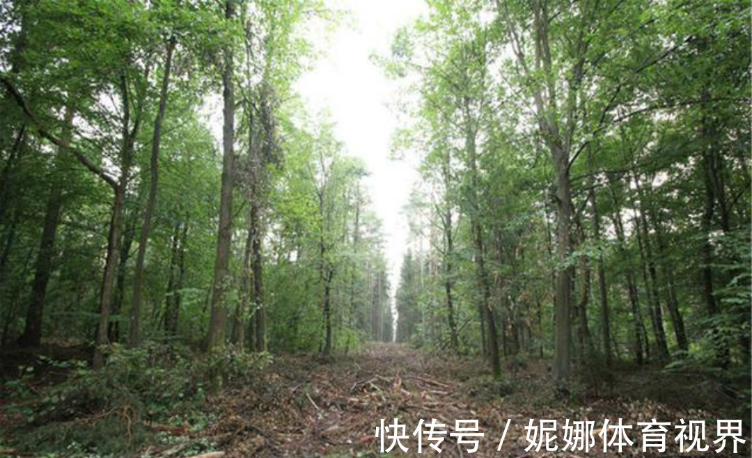 全唐诗&《全唐诗》里很有禅理的一首诗,每一句都是人生箴言,写得很深刻