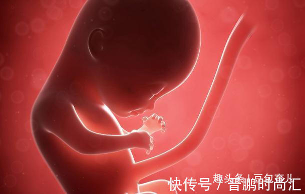 肚子|除了睡觉，胎儿在妈妈肚子里干啥呢？每个妈妈都应该看看