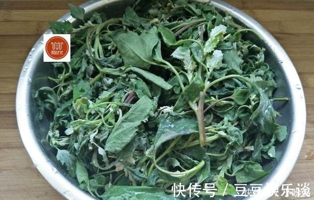 美味|田间地头很常见的野菜,城里餐桌上难得一见美味,小伙伴们记得吗