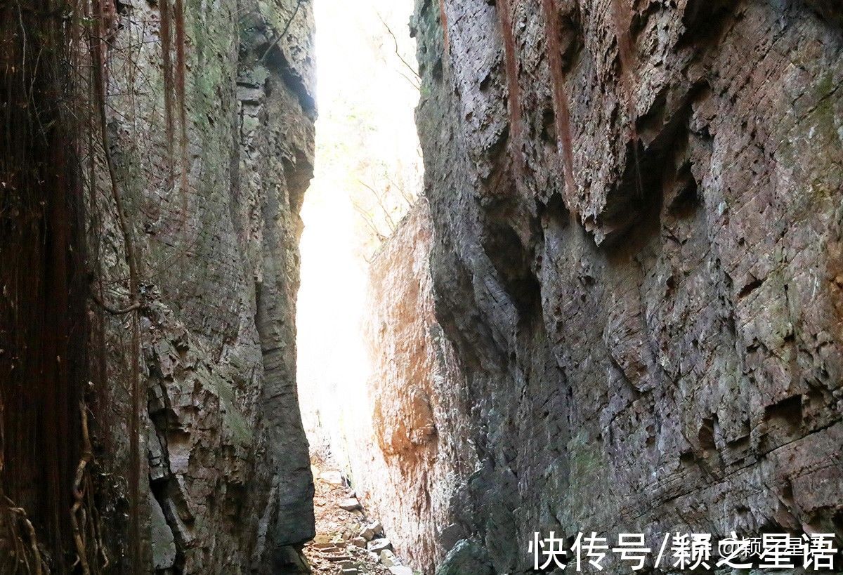 景观|宁波近郊一线天，原始丛林秘境，悬崖上跳舞