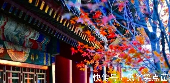 词人$红叶黄花秋意晚,女主人公因悲秋而怀远,书信难寄玉泪滴落红笺淡