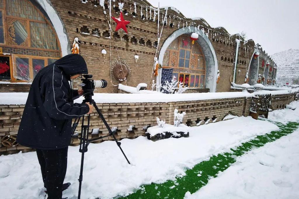  不畏|不畏凛冬寒，迎雪绽芳菲