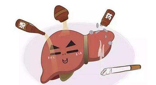 肝功能|男性“晨起”3个伤肝举动,建议要改掉,不少人还每天都在做