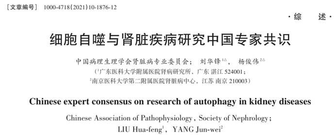 广东|广东医生牵头国内首发！《细胞自噬与肾脏疾病研究中国专家共识》发布
