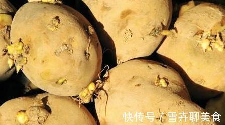 黄豆|发芽后的蔬菜必须要扔掉,唯有这两种一定不要扔,而且还要“多吃”