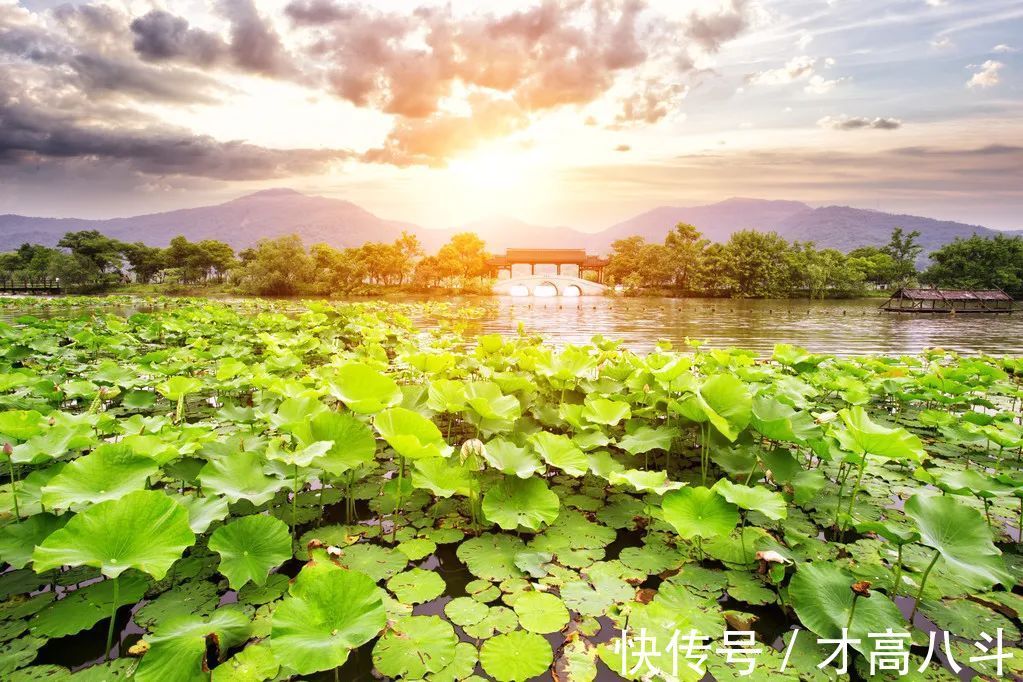 淡泊@12句处世箴言,道破人心(值得收藏)