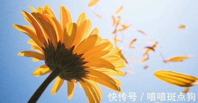 温顺|“笑里藏刀”的四大星座,表面温顺,其实骨子里不好惹