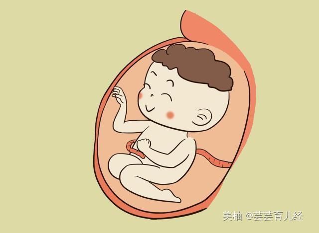 胎儿|孕妈在睡觉时，胎儿都在干嘛？第二条不忍直视