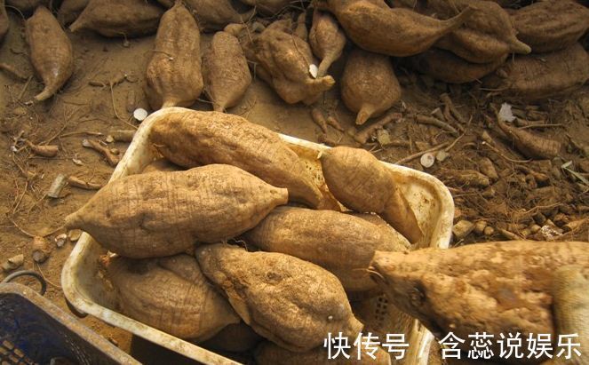 卵巢癌|女人绝经后,常吃3种食物,助你养好卵巢,延缓衰老,显年轻