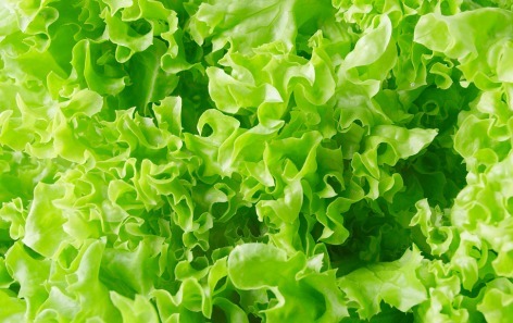 脑梗|61岁阿姨只吃素不吃肉突发脑梗？降脂2误区莫再犯，血脂稳吃3物