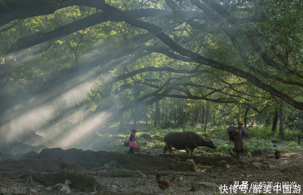 五一佳节来临之际，这3处景点适合一个人去旅游，总有1处适合你