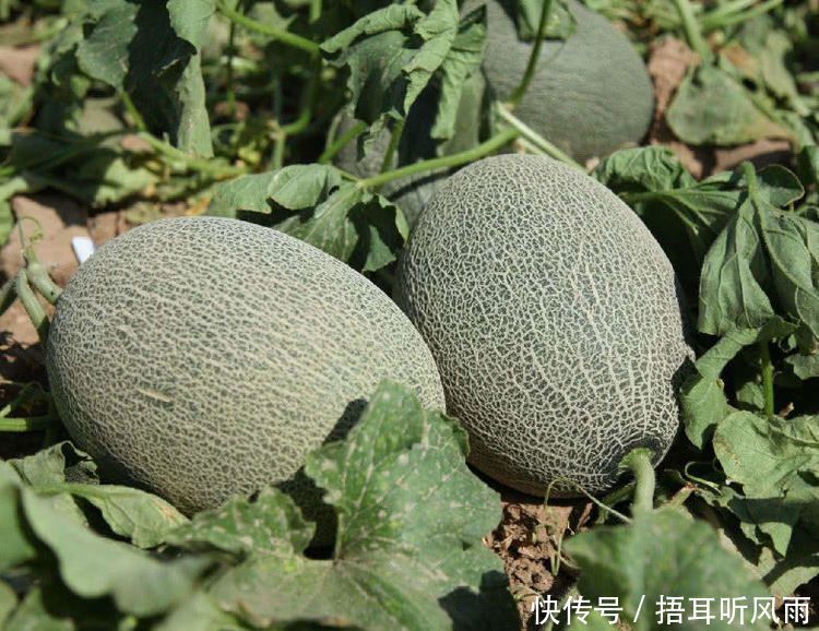 女人不想气色差,推荐吃的食物,美容养颜,皮