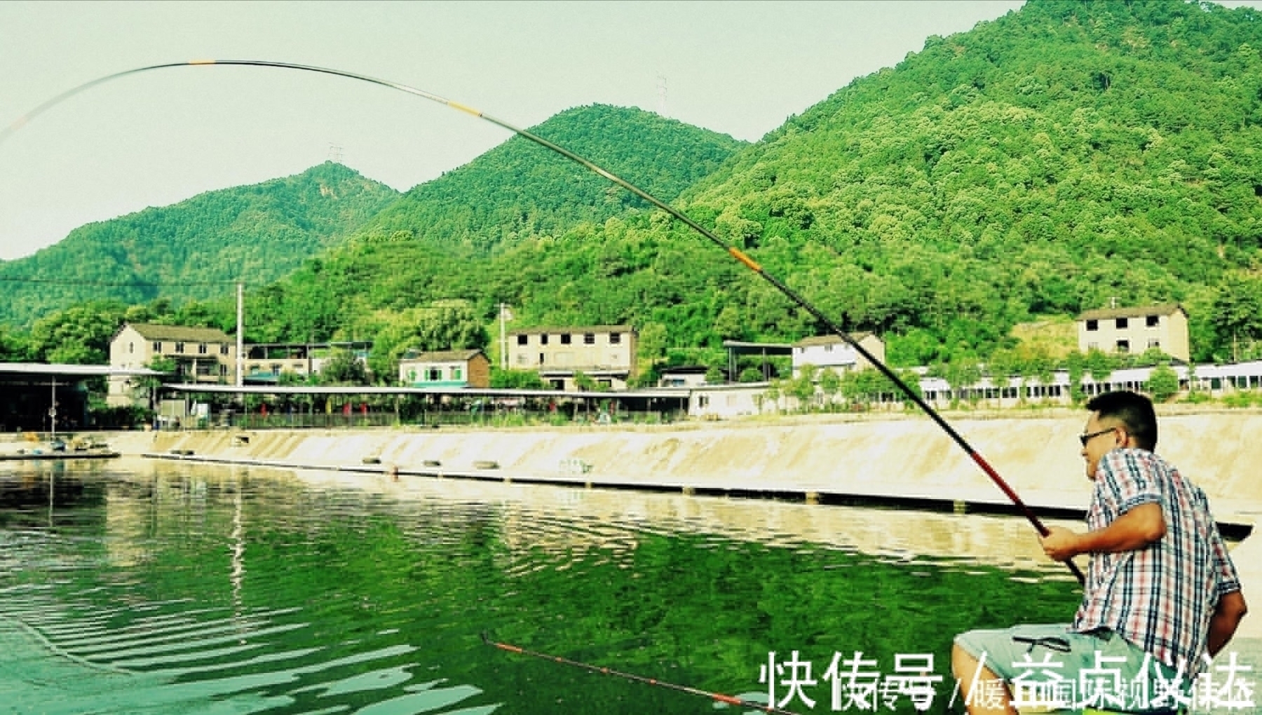 钓大青鱼,螺蛳、玉米和颗粒哪个最好用?钓青鱼饵料的效果对比