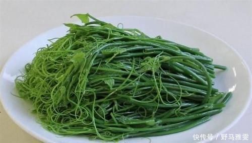 桂圆|会吃的人才长寿,常吃以下食物,补血养颜,延缓衰老,有益健康