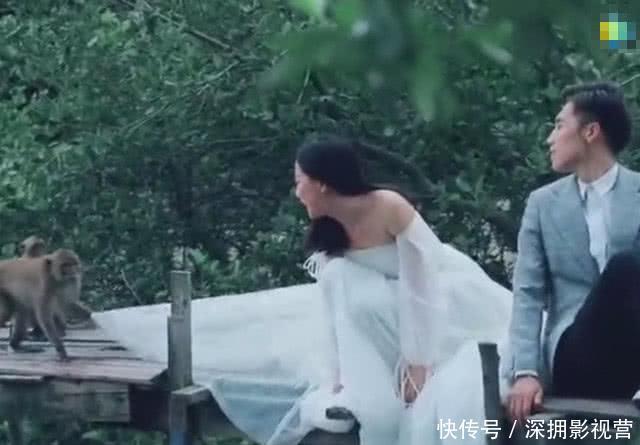 新娘花3万拍摄婚纱照,猴子突然钻进裙底,没想到成品惊艳四座!