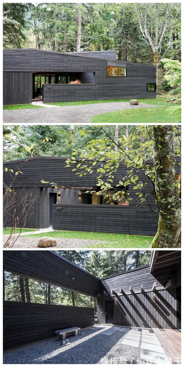 麋鹿群|自建林中四合院别墅,就地取材外观虽然简陋,入户就装修迷住了!