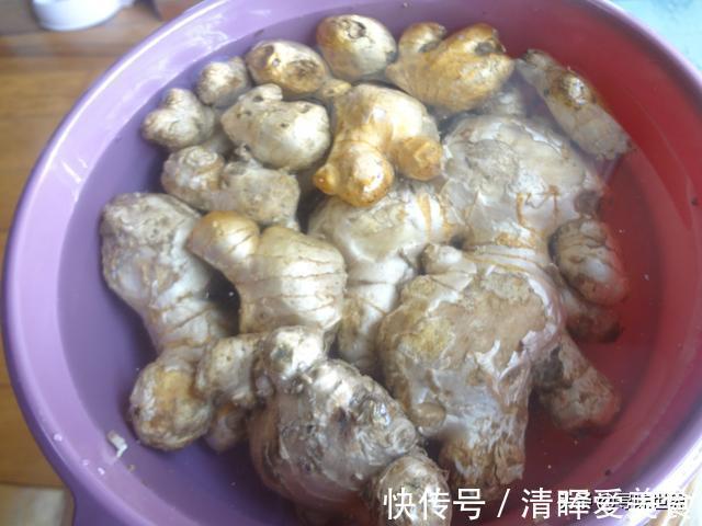 实用|生姜放久了会干瘪腐烂，教你4招，最长放2年不会坏，实用又省钱