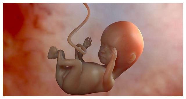 宝宝|宝宝在腹中没“动静”了?妈妈不必惊慌,多半和这些因素有关