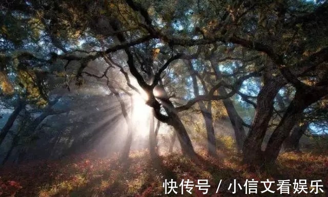 名言|关汉卿的10条名句,名言更重要的其实是后半句