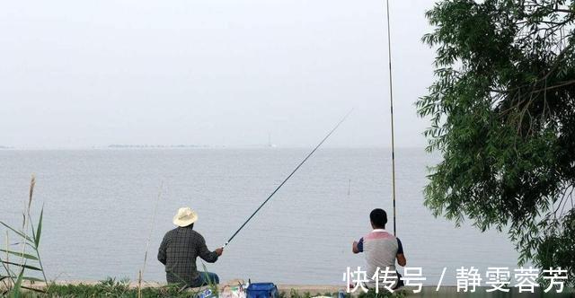 教你4招“风天钓鱼法”，鱼上得比平时还快，往后钓鱼无风不欢了