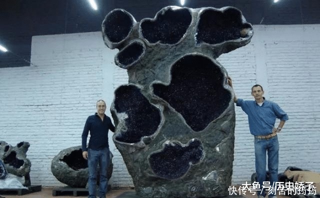 电子显微镜 22张“活久见”的照片,令人大开眼界!