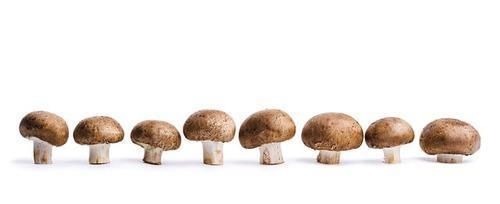 菌类|经常便秘的人,尽量少吃3样食物,让肠道越来越通畅