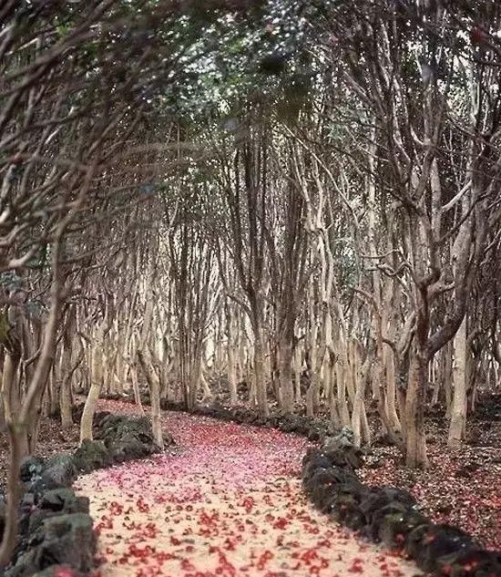 传来|太美了,世界照片今天终于传来,罕见至极,一睹为快