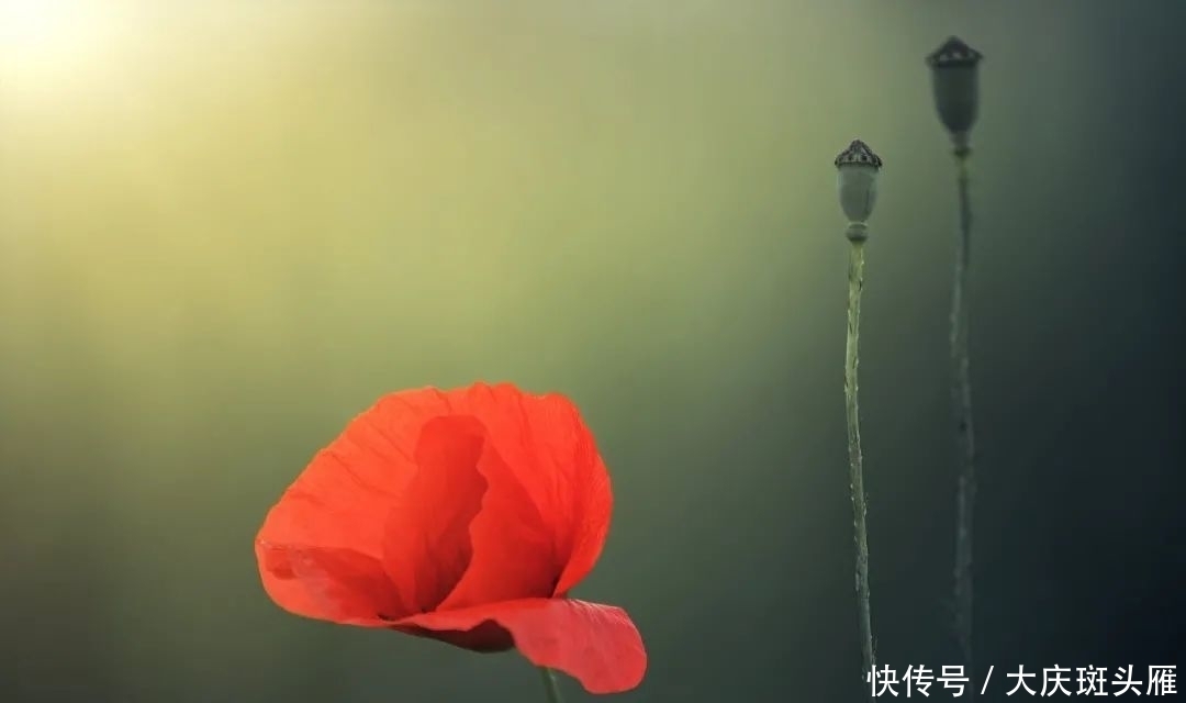 尊重|尊重(写得真好)